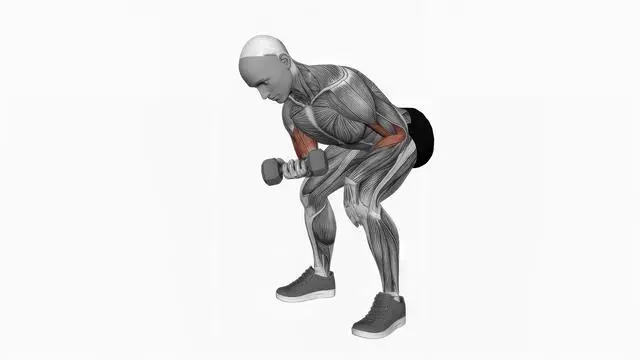 Dumbbell Standing One Arm Concentration Curl (2)