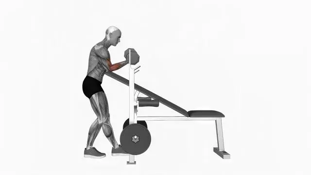 Dumbbell Standing One Arm Curl Over Incline Bench (2)