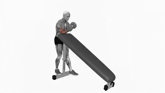 Dumbbell Standing One Arm Curl Over Incline Bench (3)