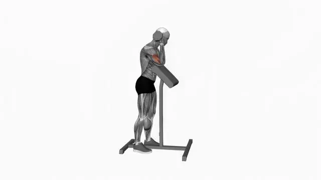 Dumbbell Standing Preacher Curl (2)