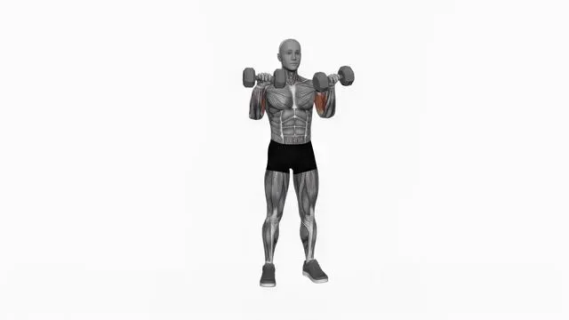 Dumbbell Standing Reverse Curl (2)