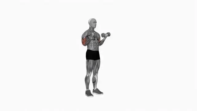 Dumbbell Standing Simultaneous Biceps Curl (2)