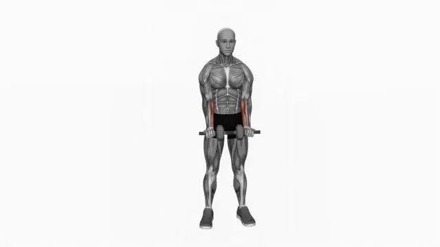 Dumbbell Standing Wrist Curl (2)