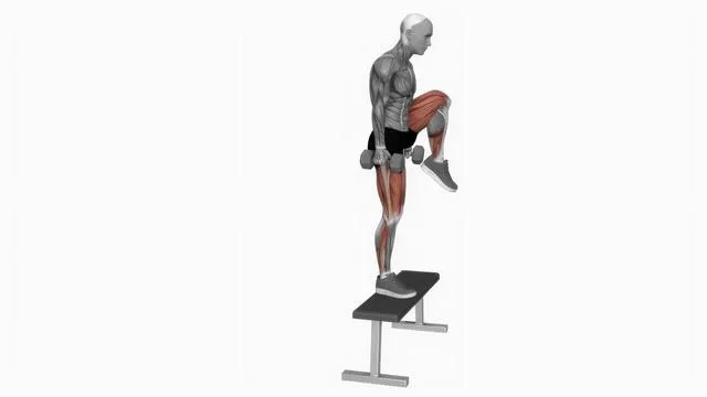 Dumbbell Step-up with Knee Raise (2)
