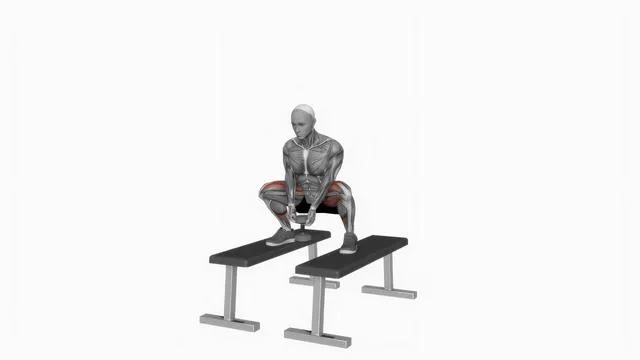 Dumbbell Sumo Squat Off Benches (2)