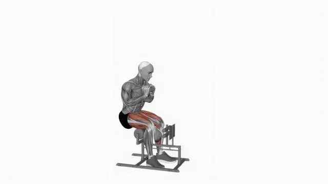 Dumbbell Supported Sissy Squat (2)
