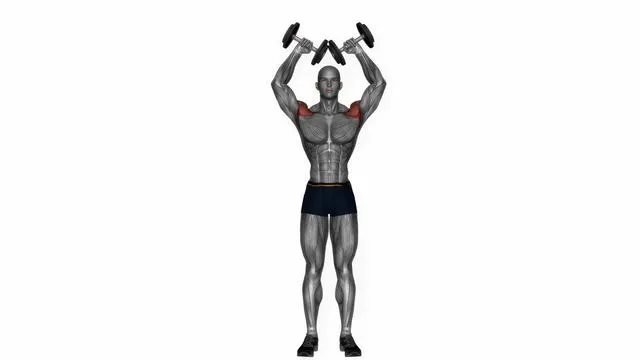 Dumbbell w press (2)