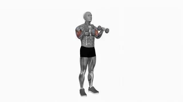 Dumbbell Zottman Curl (2)