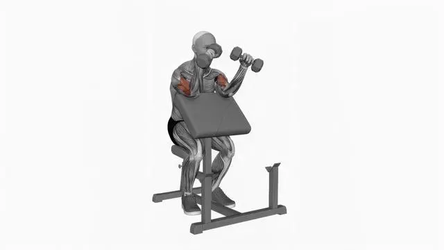 Dumbbell Zottman Preacher Curl (2)