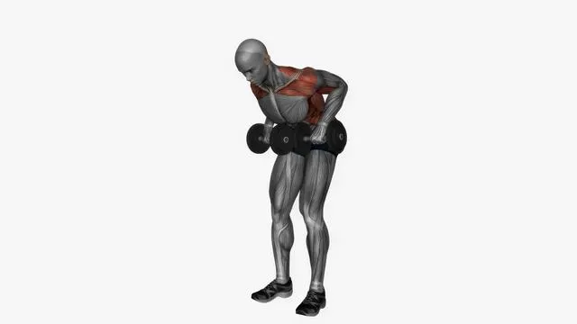 Dumbbells bent over row pronated grip (2)