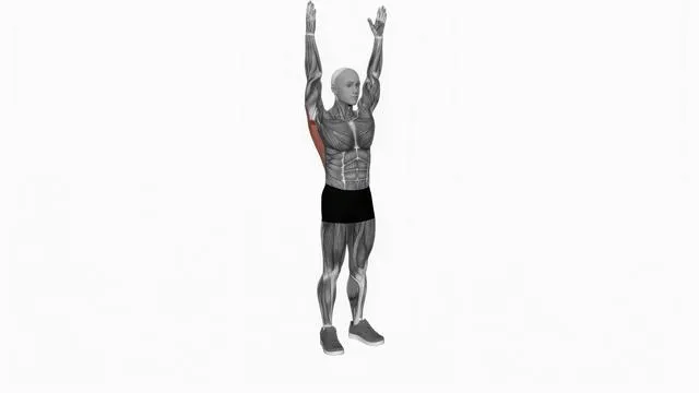 Dynamic Back Stretch (2)