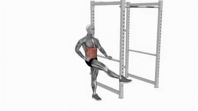 Dynamic Leg Swing (2)