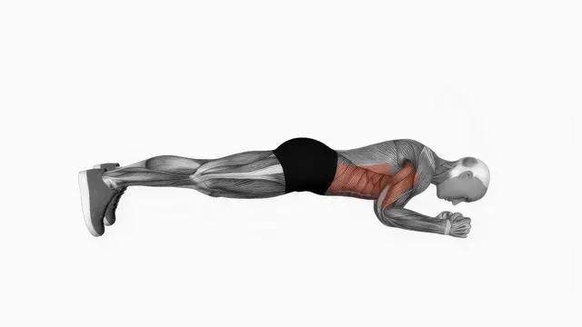 Elbow Push Plank Up (2)
