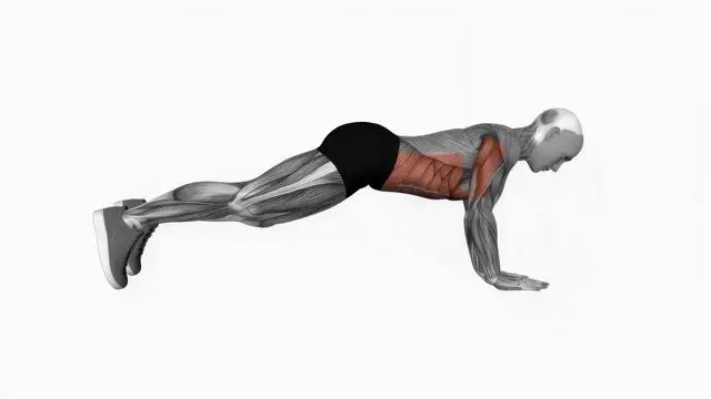 Elbow-Up and Down Dynamic Plank (2)