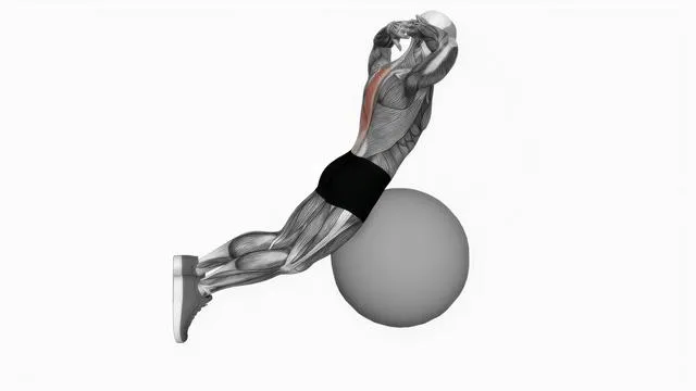 Exercise Ball Back Extension With Hands Behind Head (2)