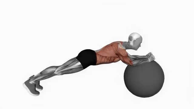 Exercise Ball Body Saw (2)