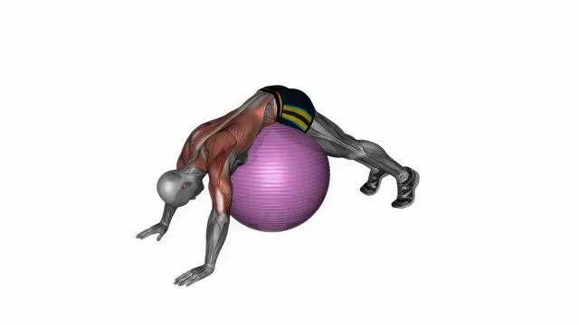 Exercise ball lower back dynamic stretch (2)