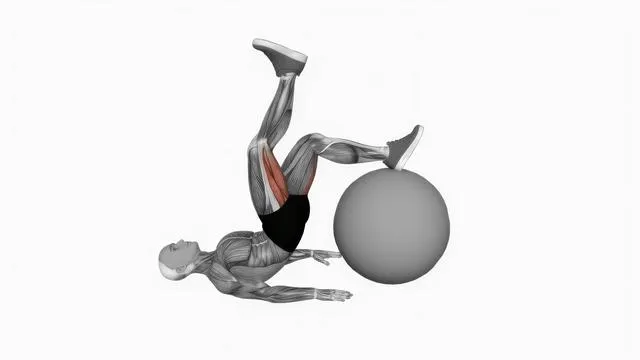 Exercise Ball One Legged Diagonal Kick Hamstring Curl (2)