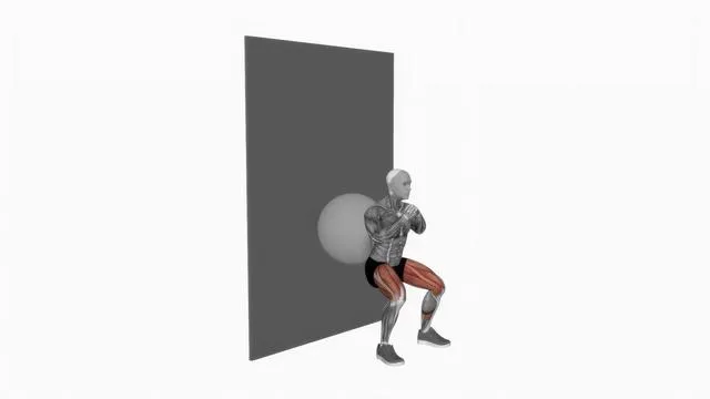 Exercise Ball Wall Squat (2)