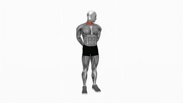 Extension And Inclination Neck Stretch (2)