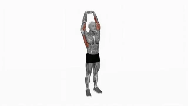 Extension Of Arms In Vertical Stretch (2)
