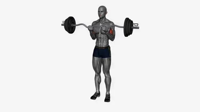 Ez bar biceps curl close grip (2)