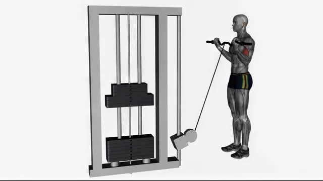 Ez bar cable curl wide grip (2)