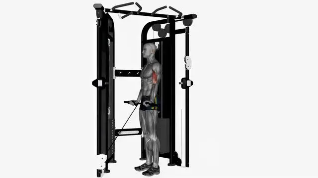 Ez bar cable curl wide grip (3)