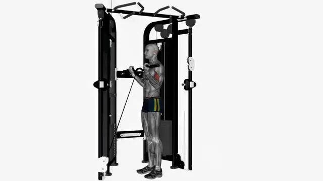 Ez bar cable curl wide grip crossover machine (2)