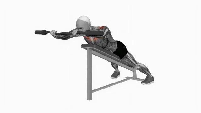 EZ Barbell Anti Gravity Press (2)