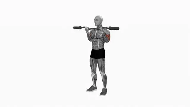 EZ Barbell Curl (2)