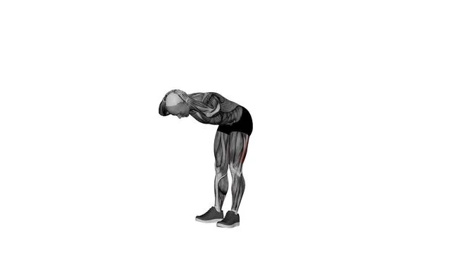 Bodyweight Good Morning (2)