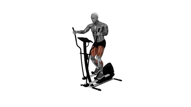 Gym Elliptical Machine Normal Speed (2)