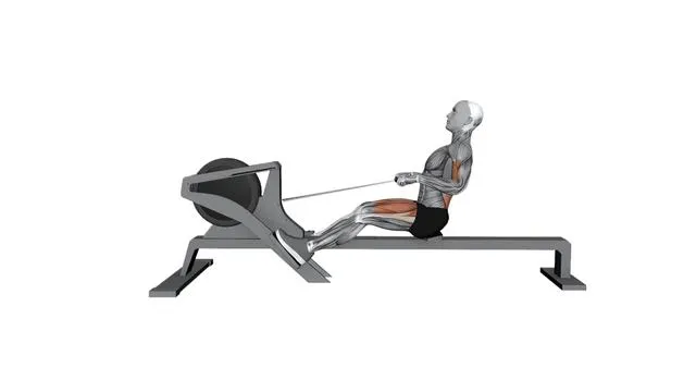 Gym Rowing Machine Normal Speed (2)