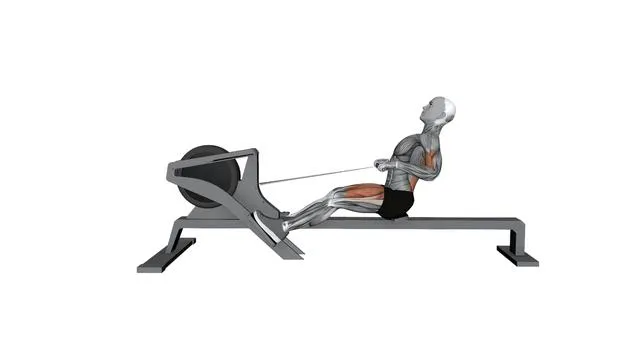 Gym Rowing Machine Sprint Speed (2)