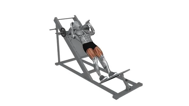 Hack Squat Machine (2)