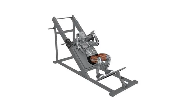Hack Squat Machine (3)
