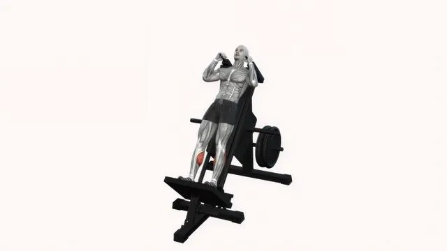 Hack Squat Machine (4)