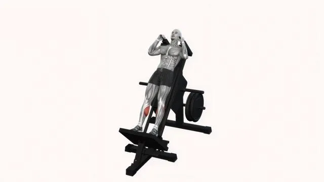 Hack Squat Machine (6)