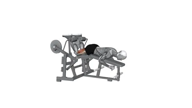 HAMMER STRENGTH ISO-LATERAL LEG CURL_Both Leg (2)