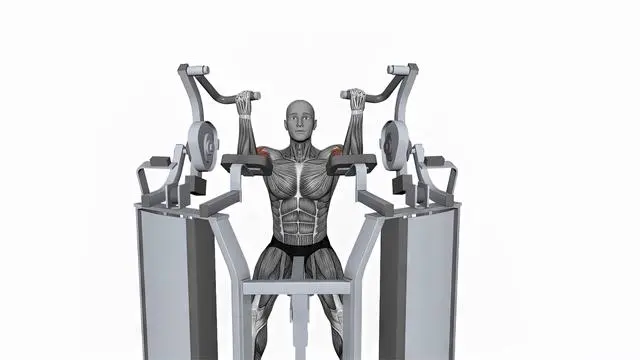 Hammer Strength MTS Iso-Lateral Biceps Curl Both Arm (2)