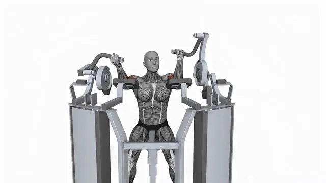 Hammer Strength MTS Iso-Lateral Biceps Curl Single Arm (2)