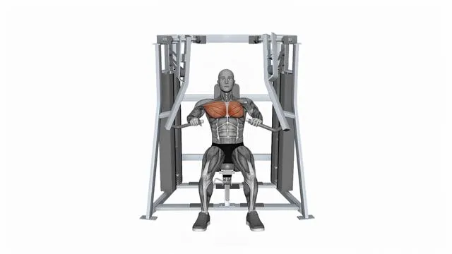 HAMMER STRENGTH MTS ISO-LATERAL DECLINE PRESS Alternate Arms (2)