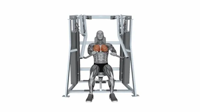 HAMMER STRENGTH MTS ISO-LATERAL DECLINE PRESS Both Arms (2)