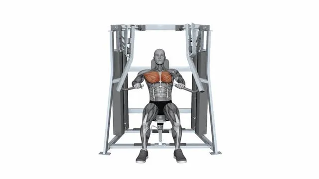 HAMMER STRENGTH MTS ISO-LATERAL DECLINE PRESS Single Arm (2)
