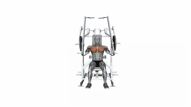HAMMER STRENGTH Plate-Loaded Combination Iso-Lateral Chest - Chest Press (2)
