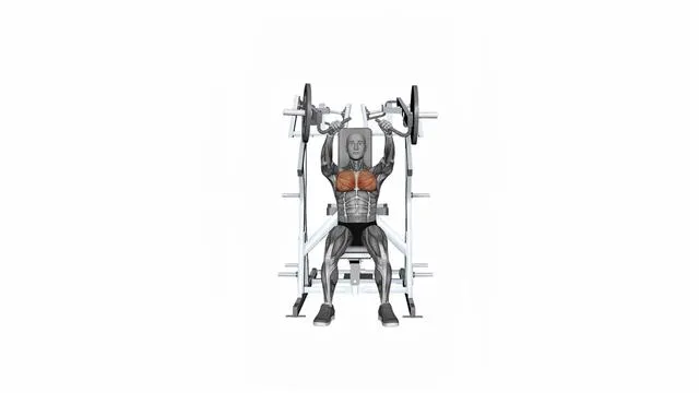HAMMER STRENGTH Plate-Loaded Combination Iso-Lateral Chest - Chest Press (3)