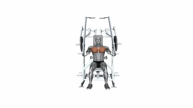 HAMMER STRENGTH Plate-Loaded Combination Iso-Lateral Chest - Chest Press (4)