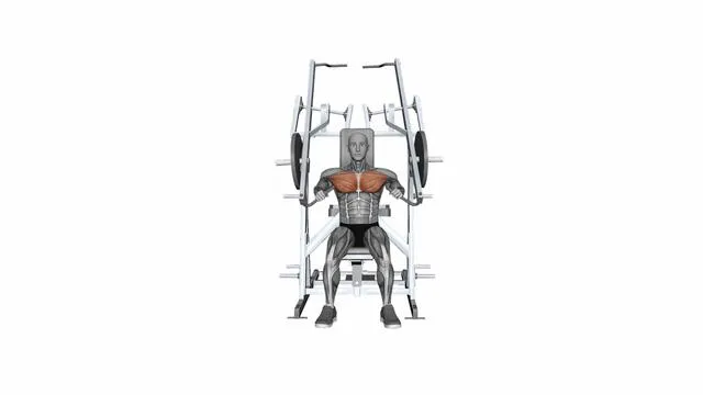 HAMMER STRENGTH Plate-Loaded Combination Iso-Lateral Chest - Chest Press (7)