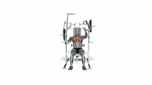 HAMMER STRENGTH Plate-Loaded Combination Iso-Lateral Chest - Chest Press (8)